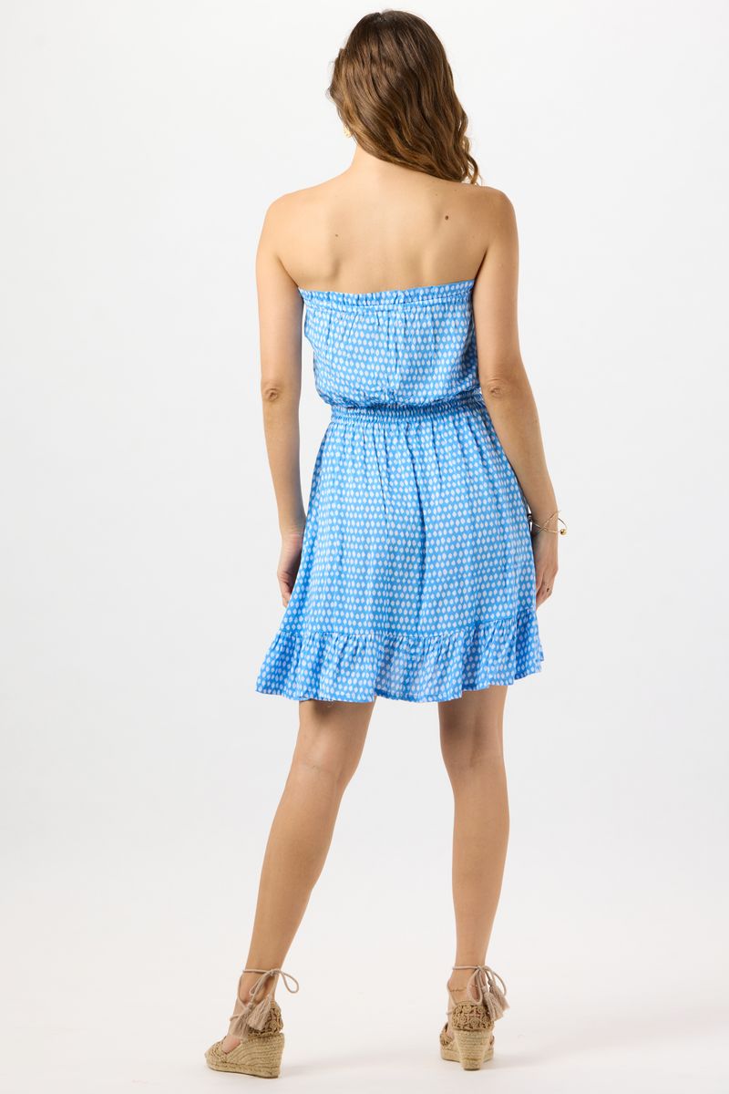 Ryden Mini Dress