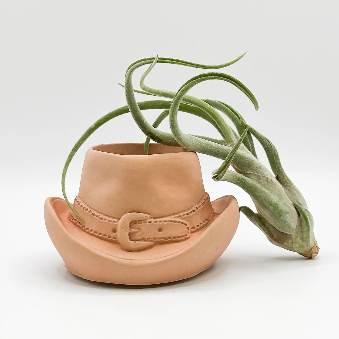 Cowboy Hat Concrete Plant Pot