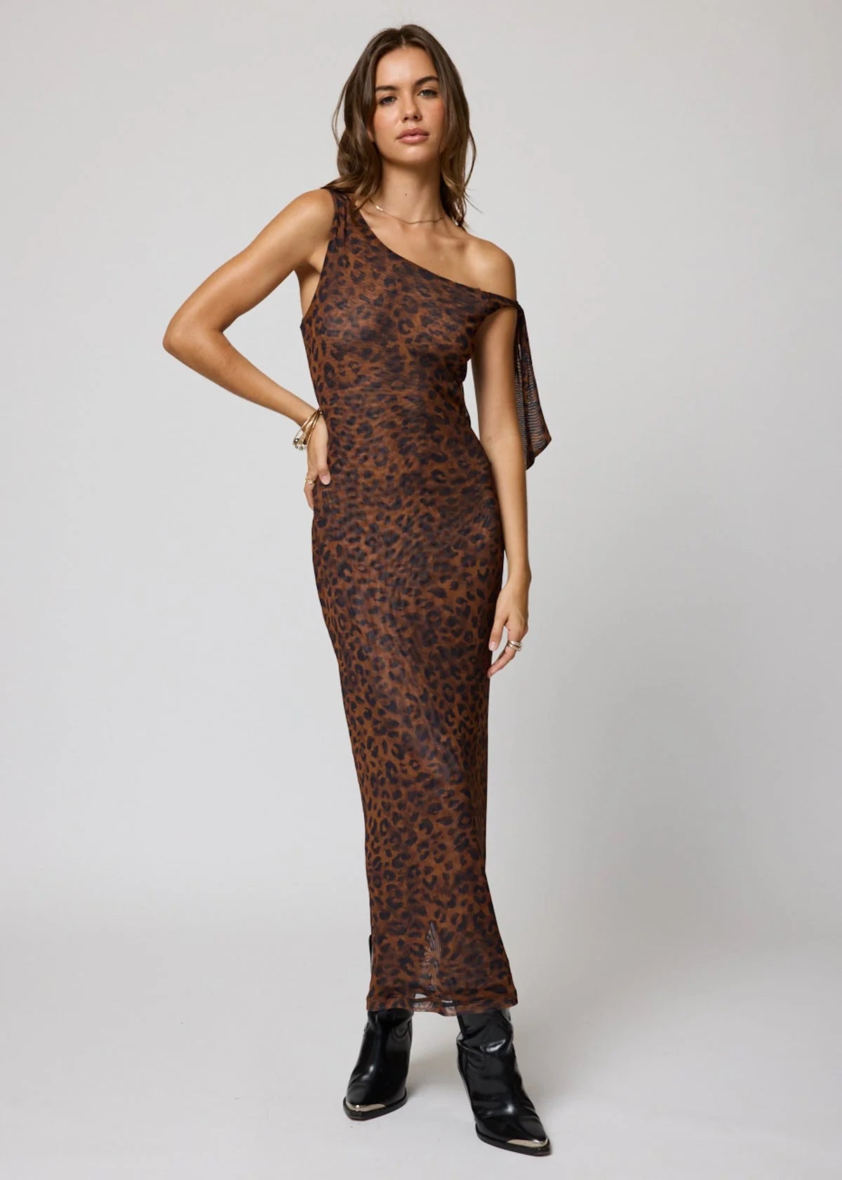 The Carlota Maxi Dress Mesh Leopard