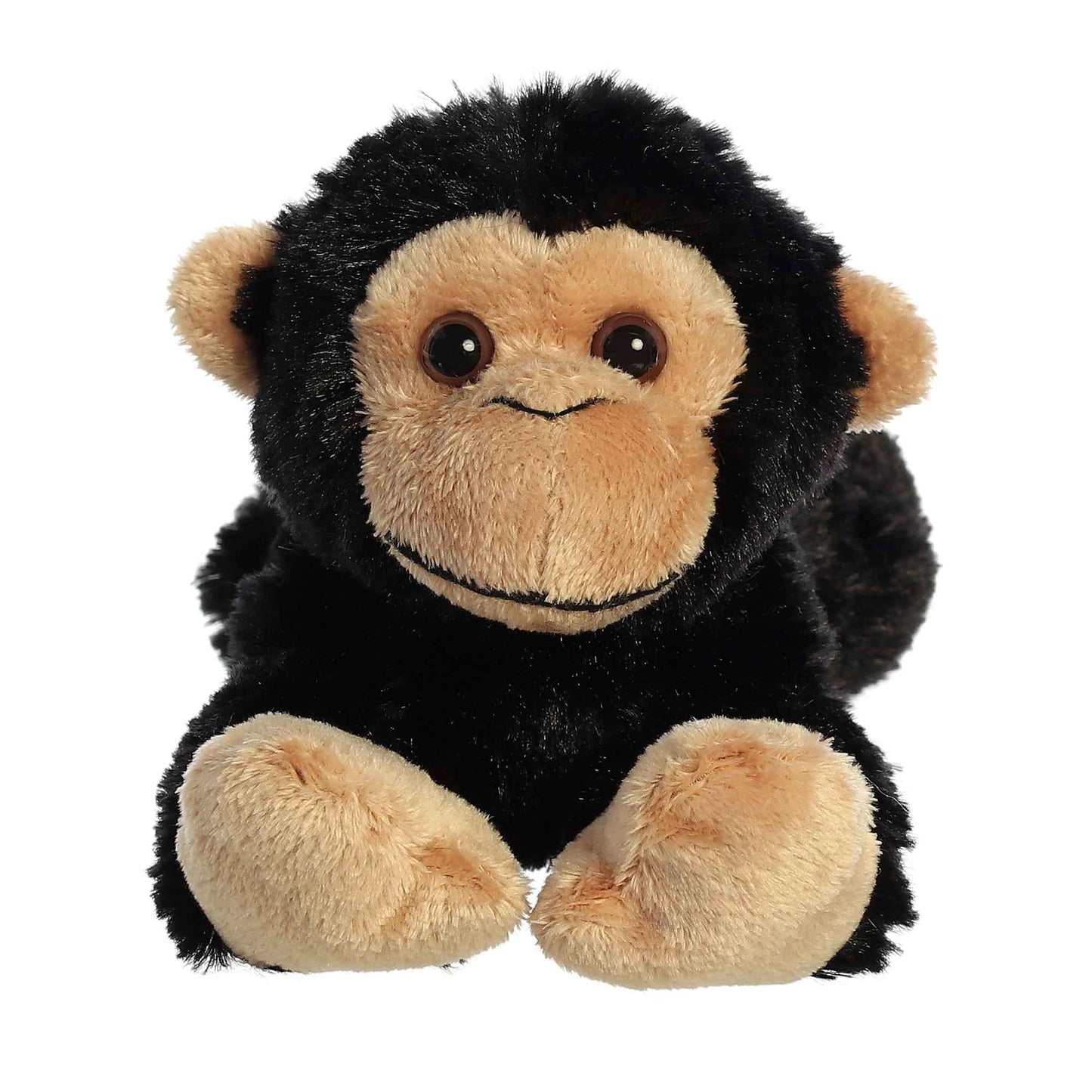 8" Cory Chimp
