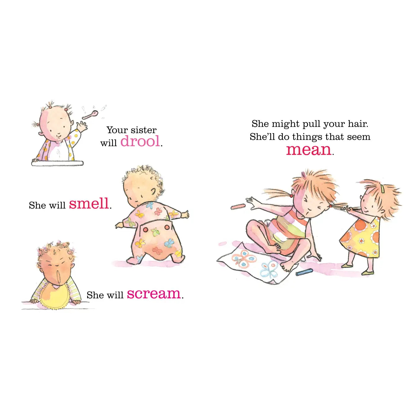 You're Getting Baby Sister Book