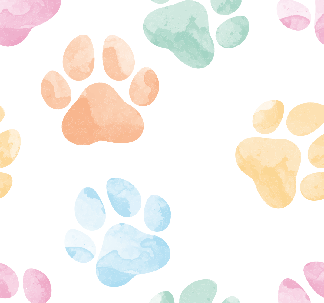 Dog/Cat Toys