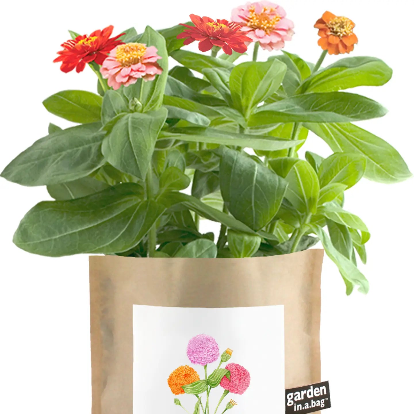Garden in a Bag - MOM
