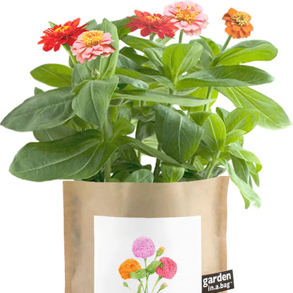 Garden in a Bag - MOM