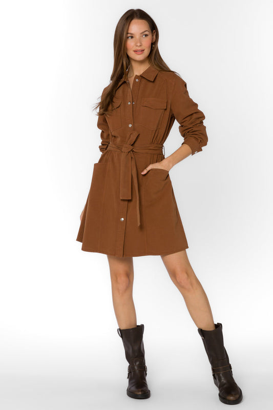 Deena Long Sleeve Brown Mini Dress