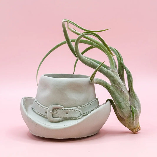 Cowboy Hat Concrete Plant Pot